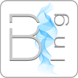 Bert Ingenieure GmbH & Co. KG