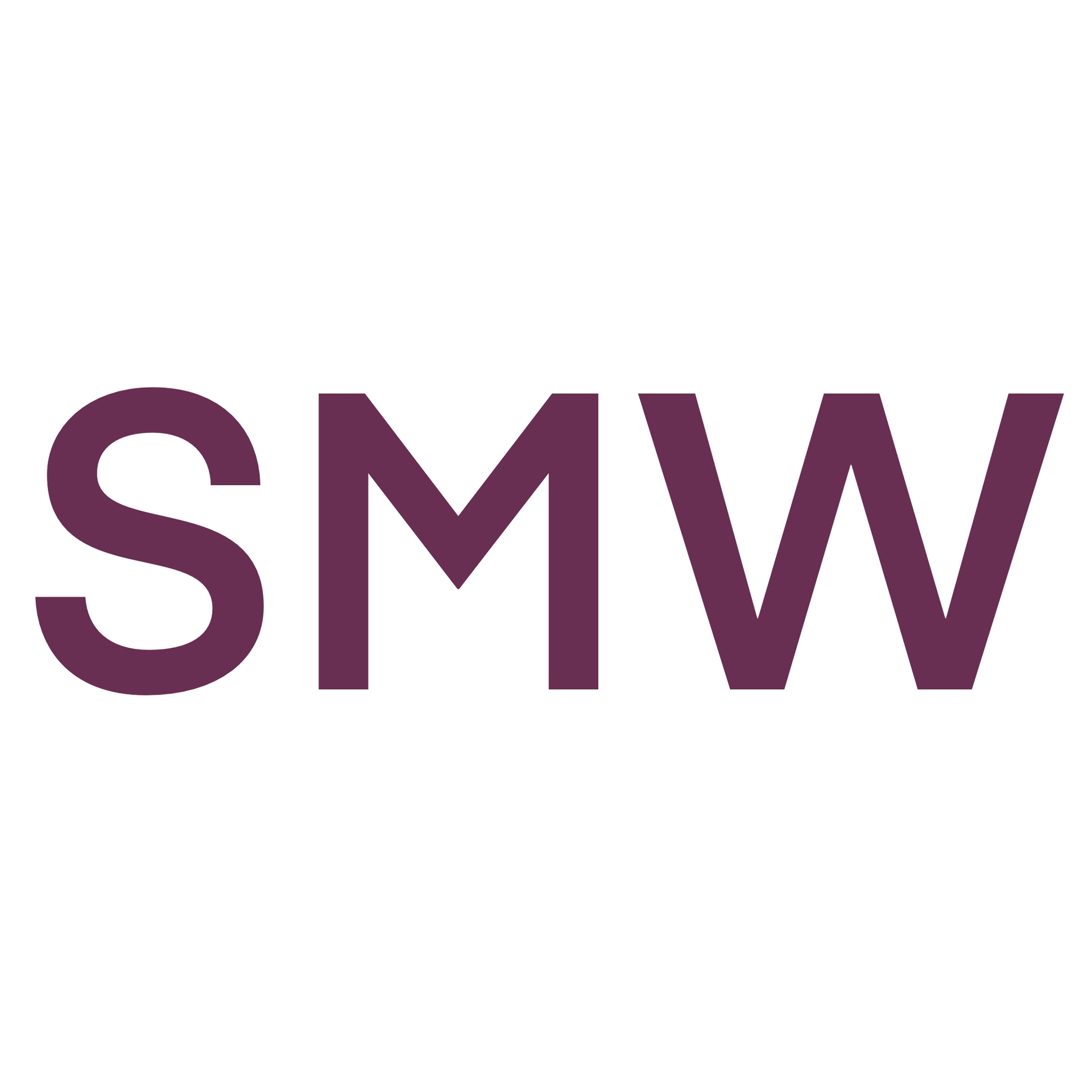 SMW SCHMIDT MEDIZINTECHNIK WIESBADEN