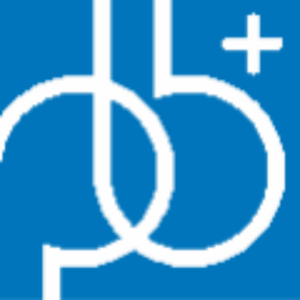 pb+ Ingenieurgruppe AG