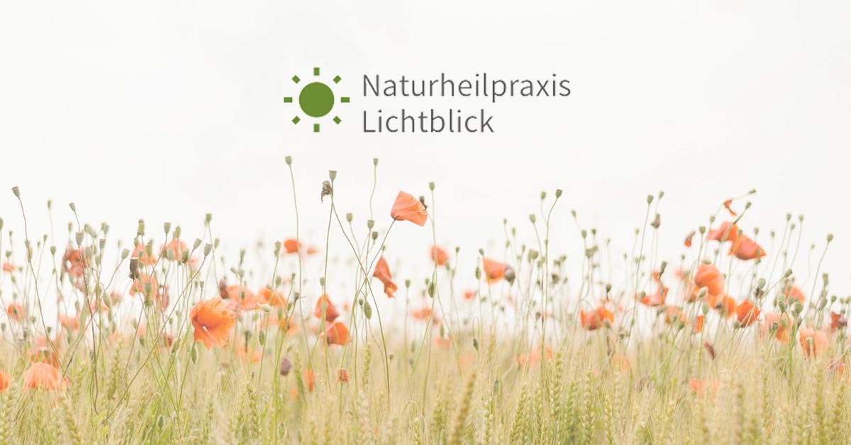 Naturheilpraxis Peter Stollberg