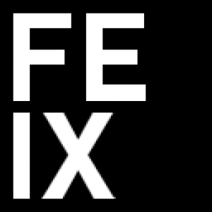 Prof. Feix Ingenieure GmbH