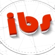 ibs Ingenieurbüro Schmitz GmbH